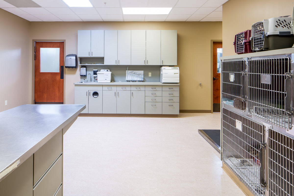TLC Veterinary Hospital Karkela Construction, Inc.
